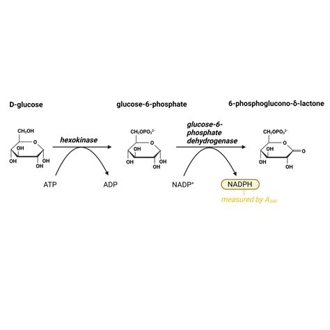 Hexokinase Method .
